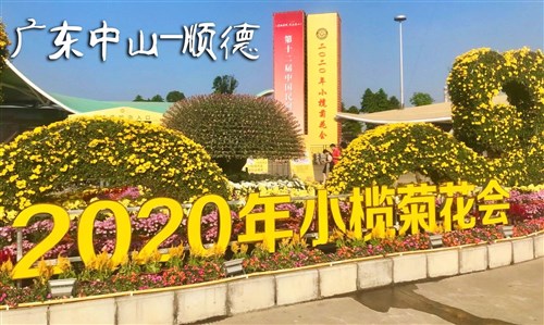 2020年11月新文化游客在广东