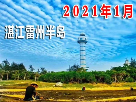 2021年1月新文化游客在湛江