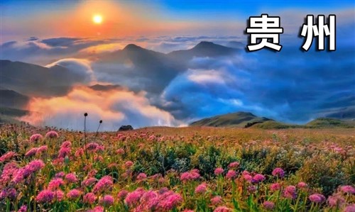 2024年8月新文化游客在贵州