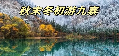 2024年11月新文化游客在四川