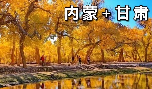 2025年10月新文化游客在内蒙+甘肃