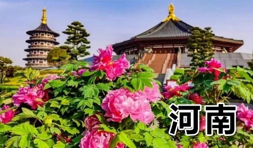 2025年4月新文化游客在河南