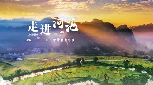 2026年1月新文化游客在百色+河池